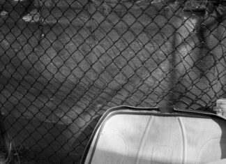 Weird Laws That Will Leave You Speechless and Curious to Learn More