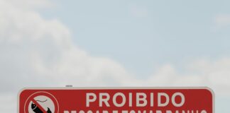 Law of April 6 1830: What Secrets Does This Landmark Legislation Hold?