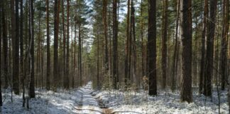 Universal Laws That Transform Your Life and Unlock Potential