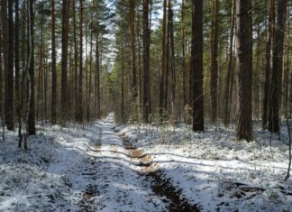 Universal Laws That Transform Your Life and Unlock Potential