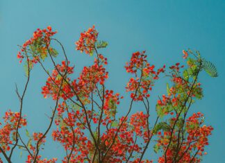 Jude Law Venice Film Festival: Discover His Stunning Red Carpet Moments