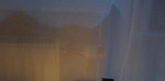 Son In Law: Discover The Cast Behind This Heartwarming Story