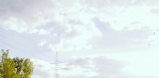 Laws of Human Nature: Unlock Secrets to Understand Yourself Better