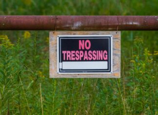 What Is The Supreme Law Of The Land And Why It Matters?