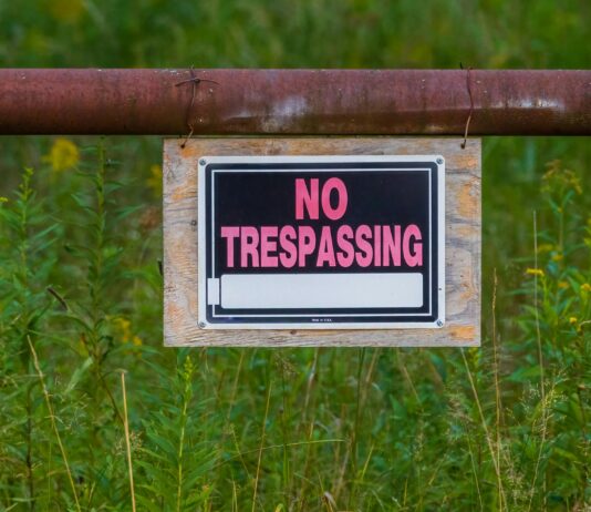 What Is The Supreme Law Of The Land And Why It Matters?