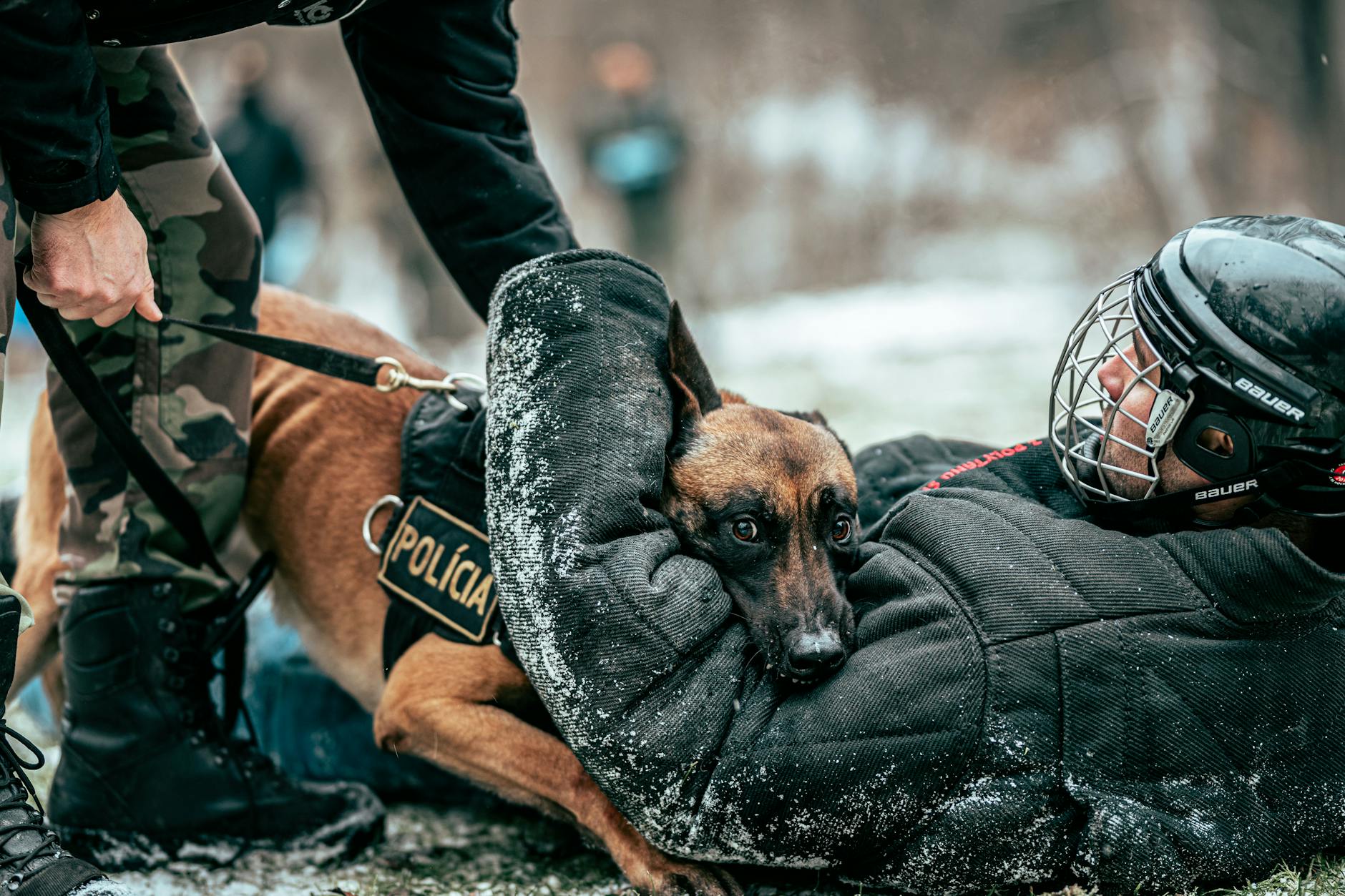 Applying Reasonable Suspicion in Real-World Scenarios