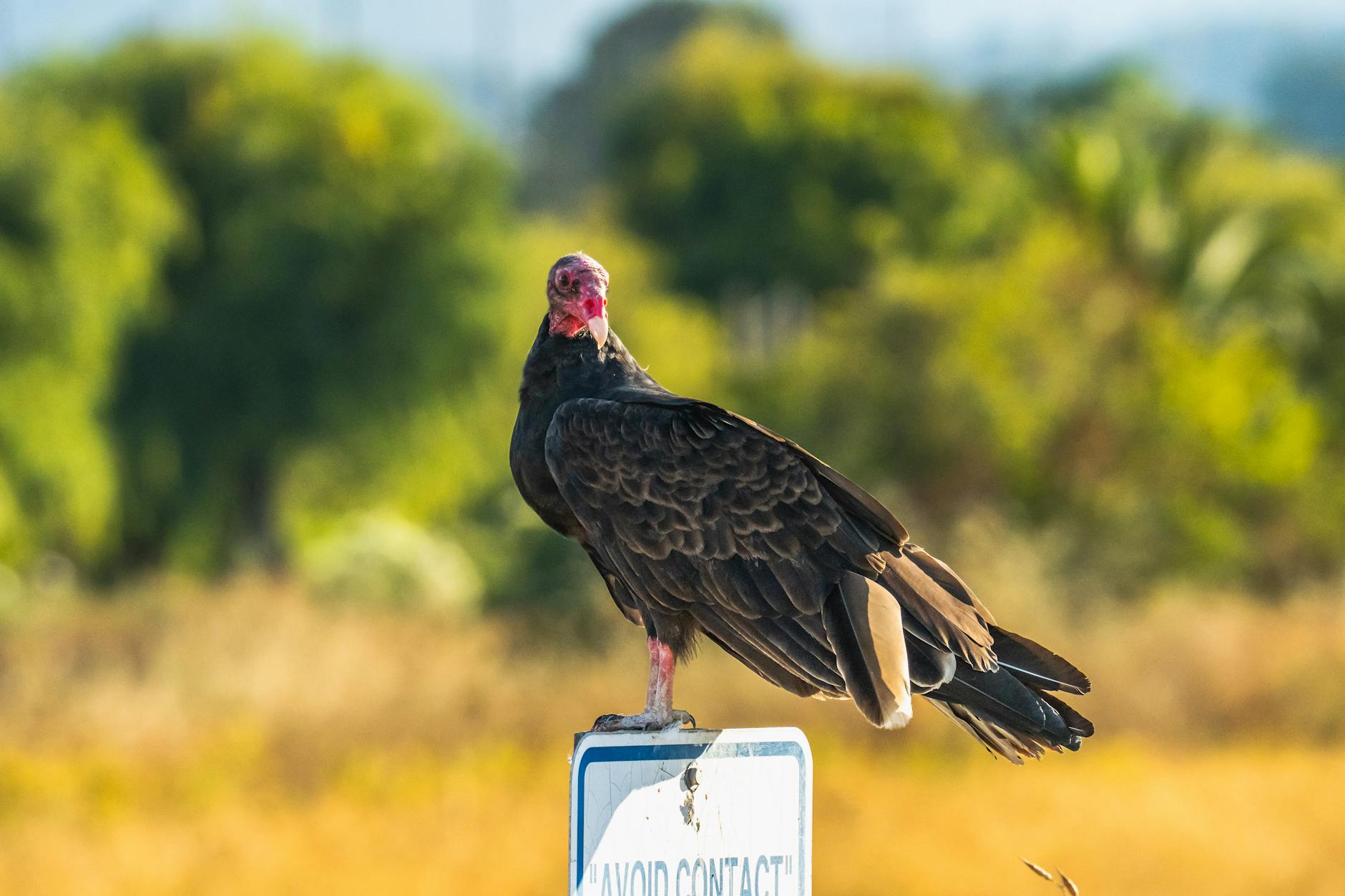 Avoiding Physical Contact