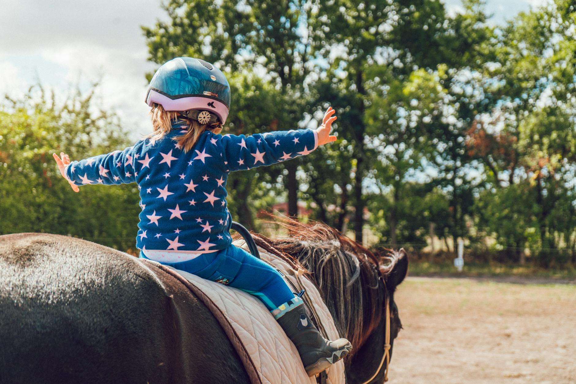 Balancing Public Safety and Personal Freedom