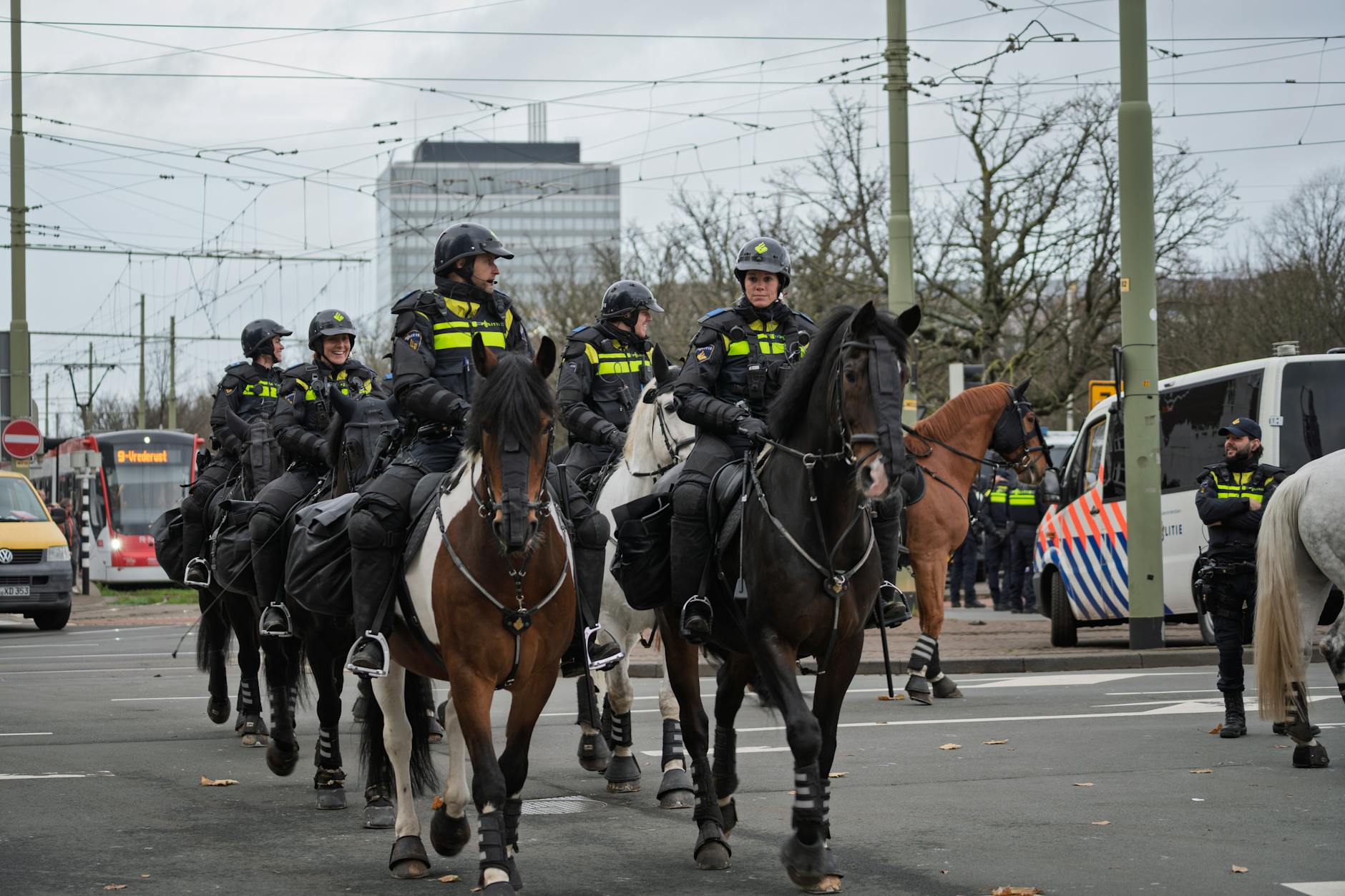 Balancing Public Safety and Police Powers