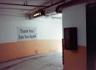 Know Your Rights: Police Can Request You Exit Vehicle in 12 States