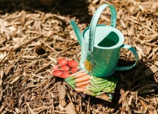 Police Can Seize Phones Without Warrants in 37 States