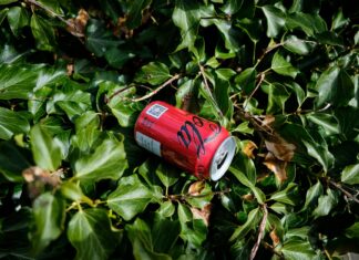 Police Can Direct You, But Can You Refuse? Here’s When