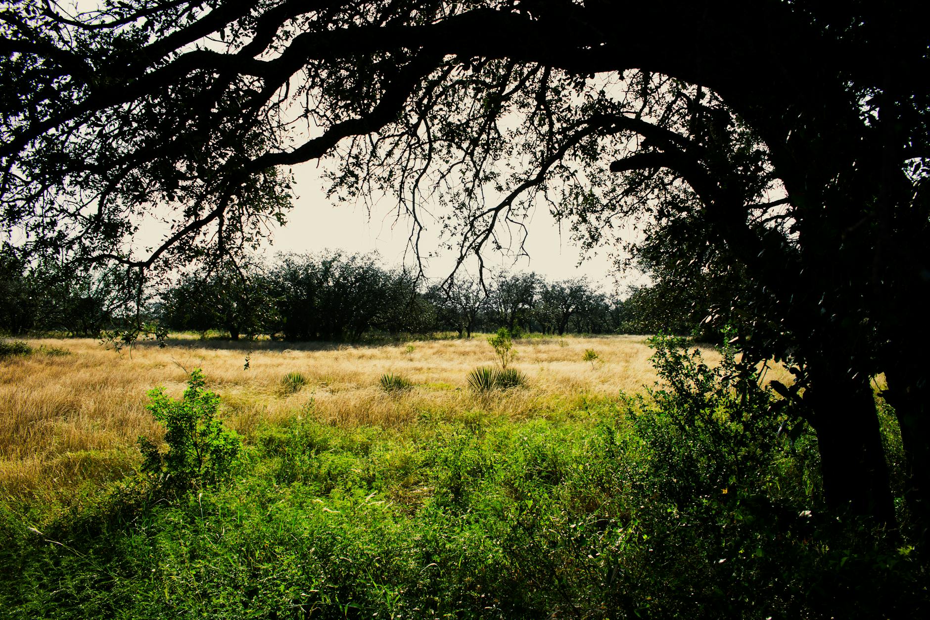 Challenges in Implementing Brady Disclosure