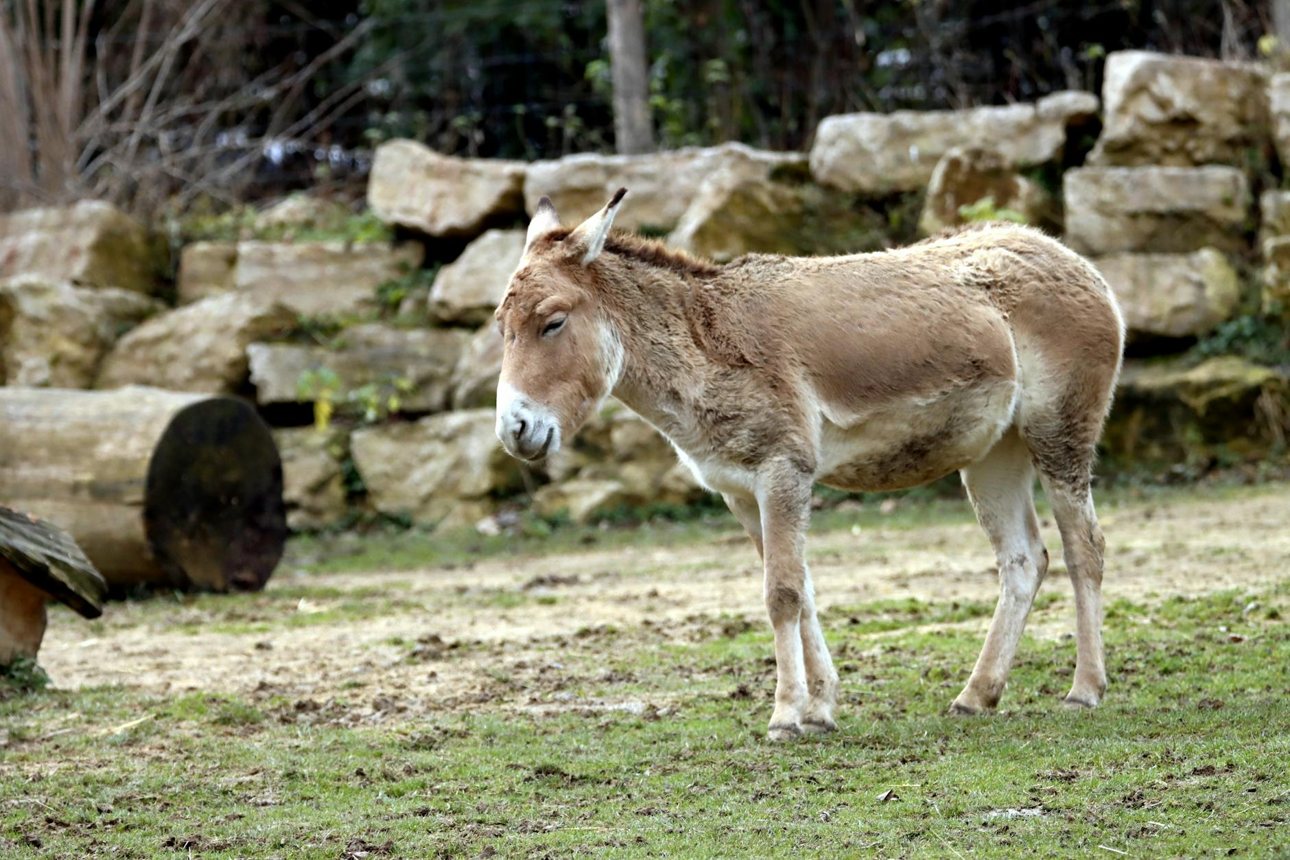 Combating the Growing Money Mule Epidemic