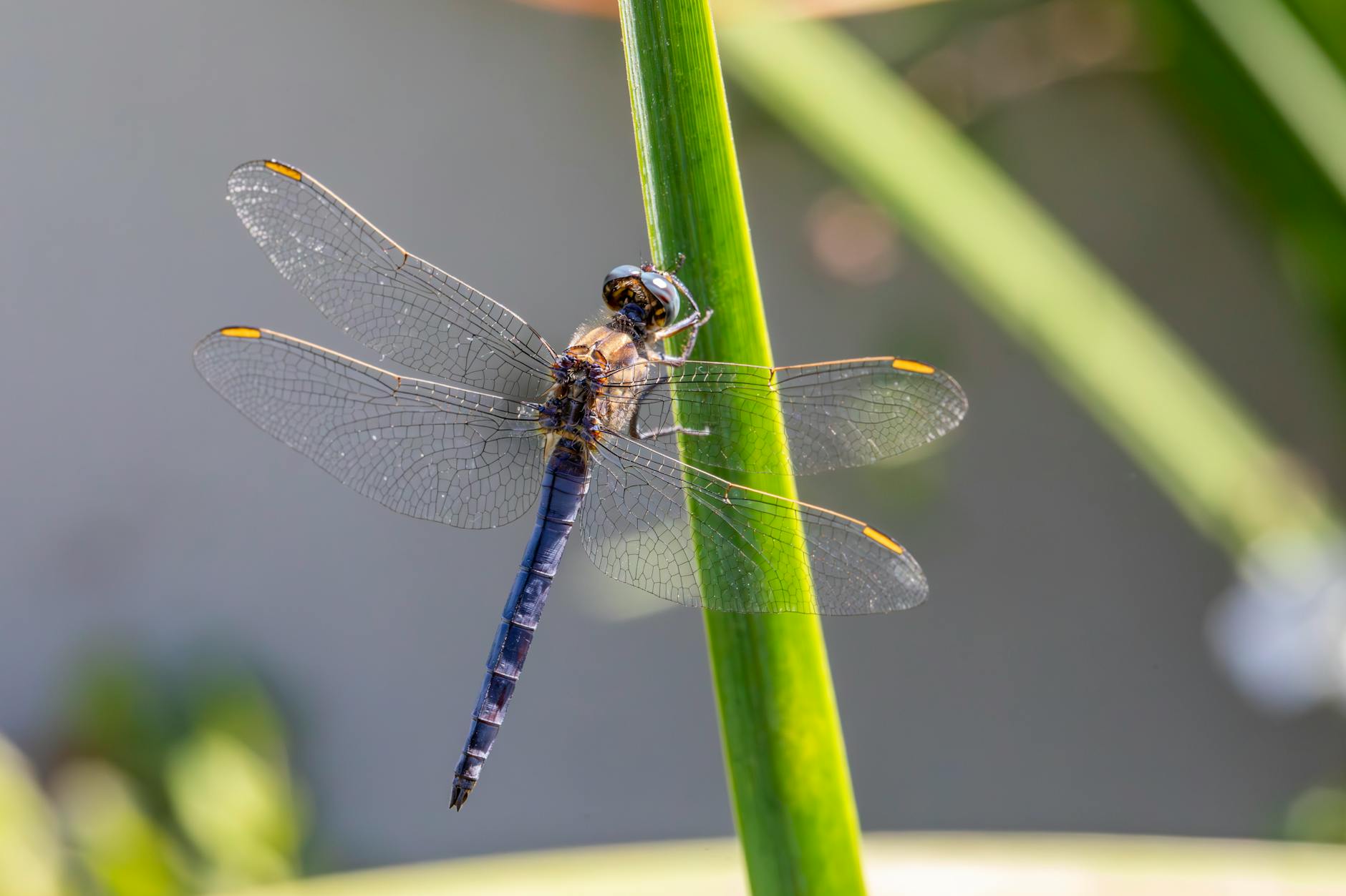 Common Places Skimmers Are Installed