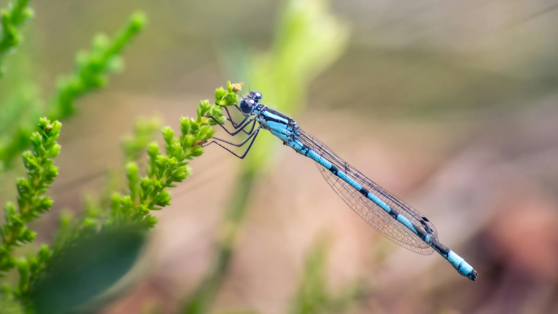 Common Scenarios and Environments