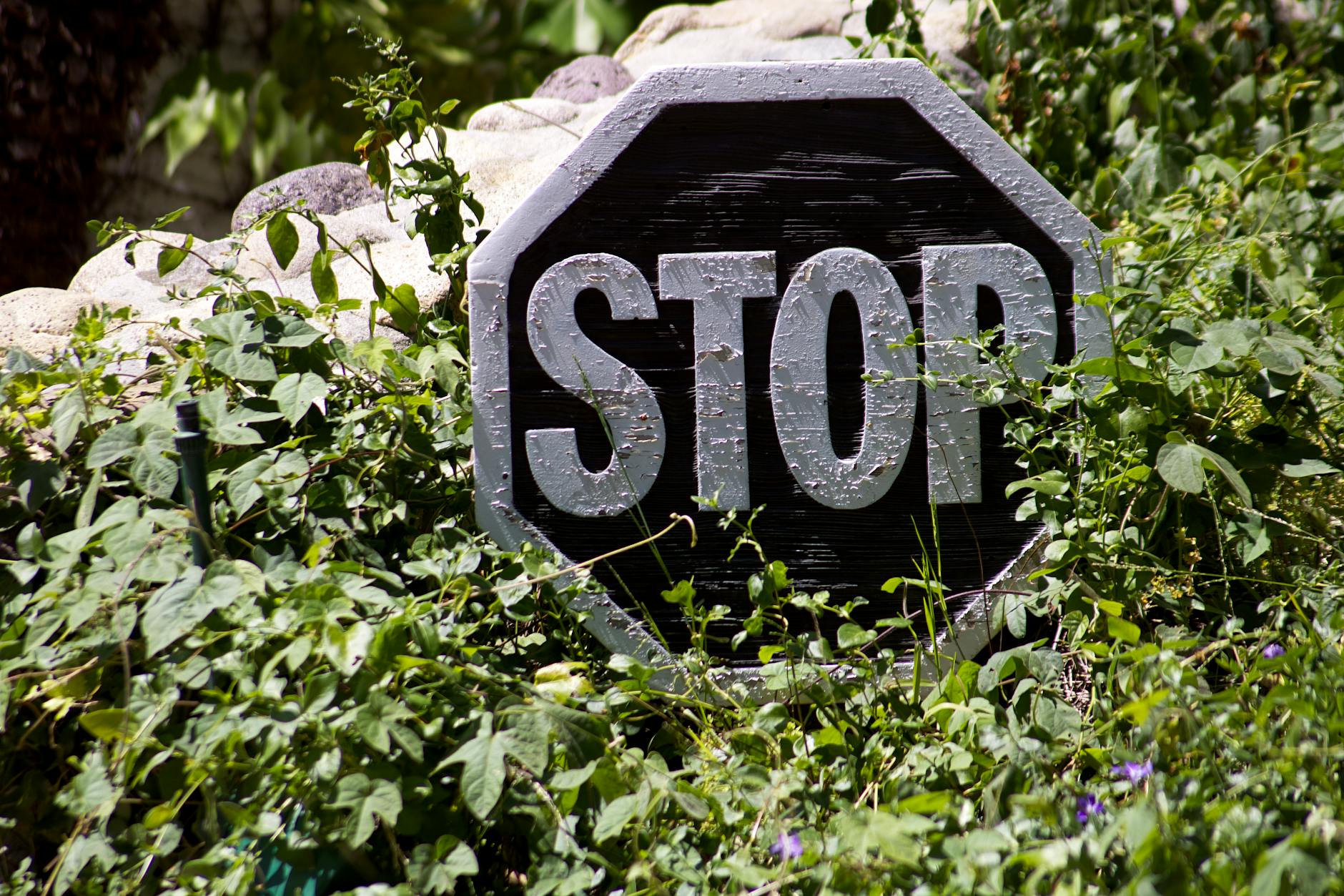 Core Elements of Stop and Frisk