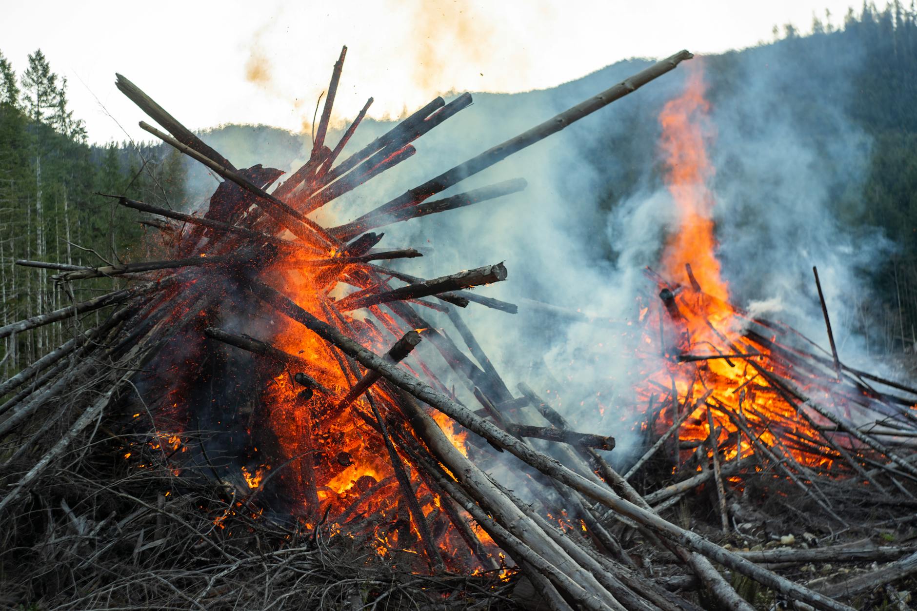 Future of Road Rage Prevention Efforts