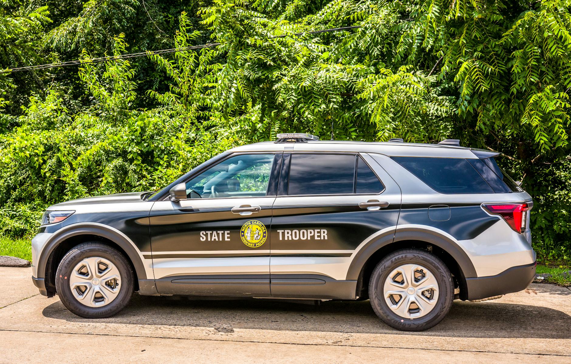 Future of State Policing