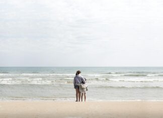 5 Steps to Reclaim Property Seized by Police