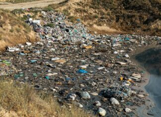 States Vary on Breathalyzer Refusal Penalties