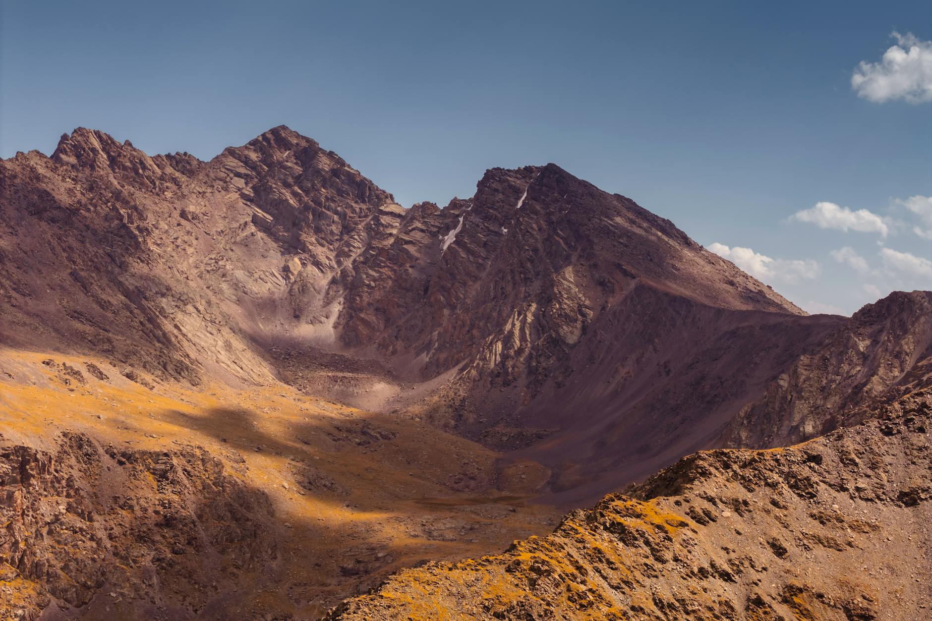 Law Enforcement's Response