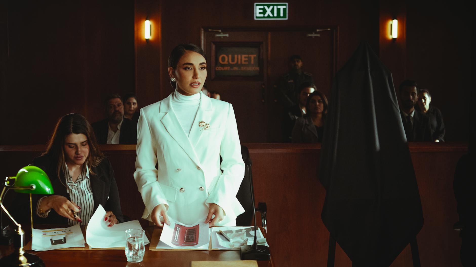 Legal Representation and Court Appearances