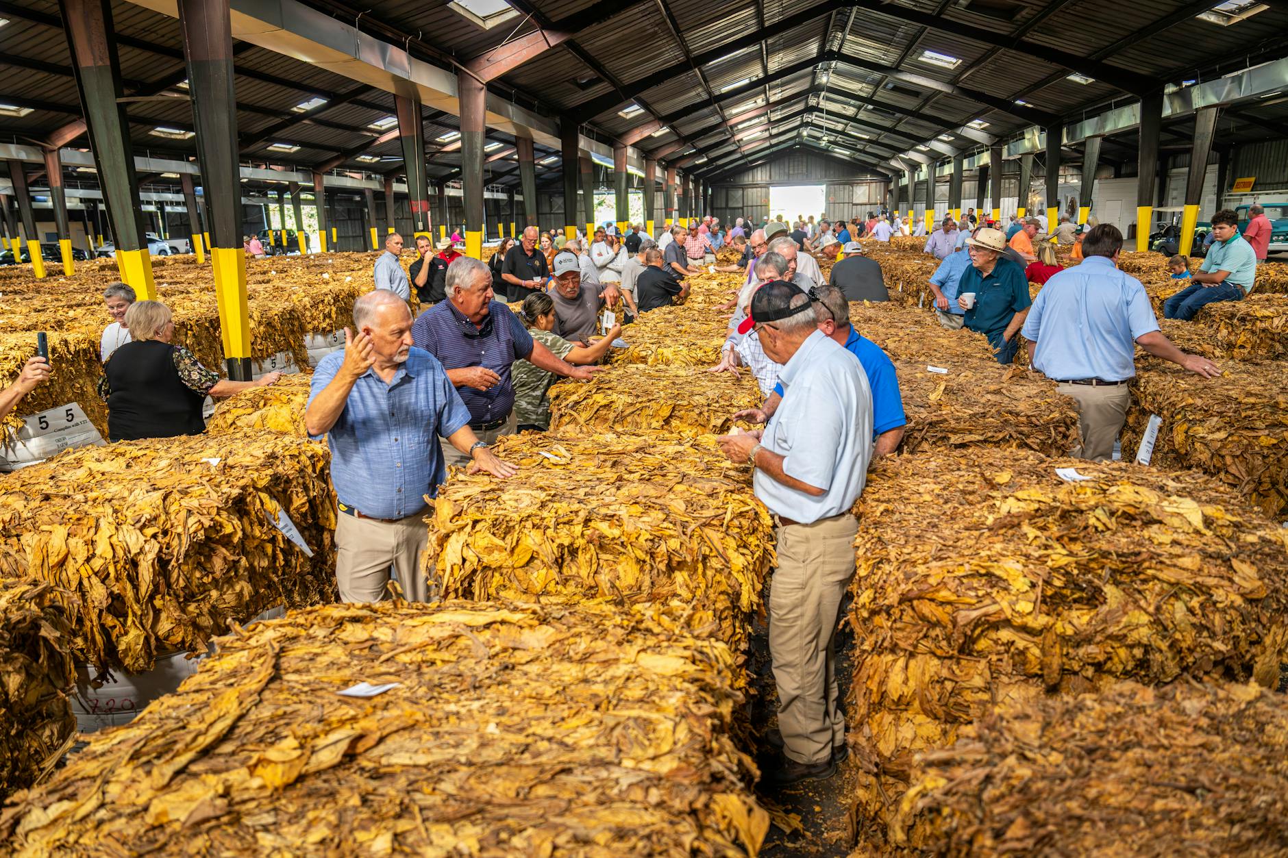 Navigating the Auction Process for Buyers