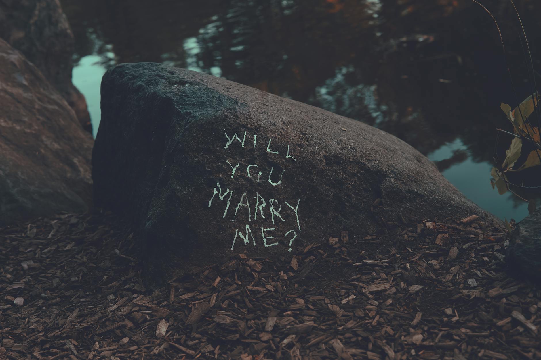 New York's Proposed Legislation