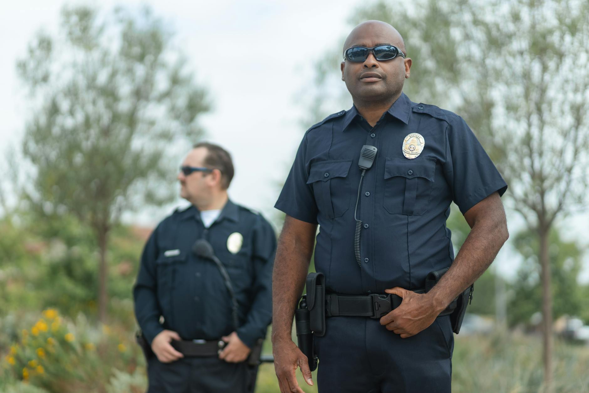 Origins and Evolution of Border Police