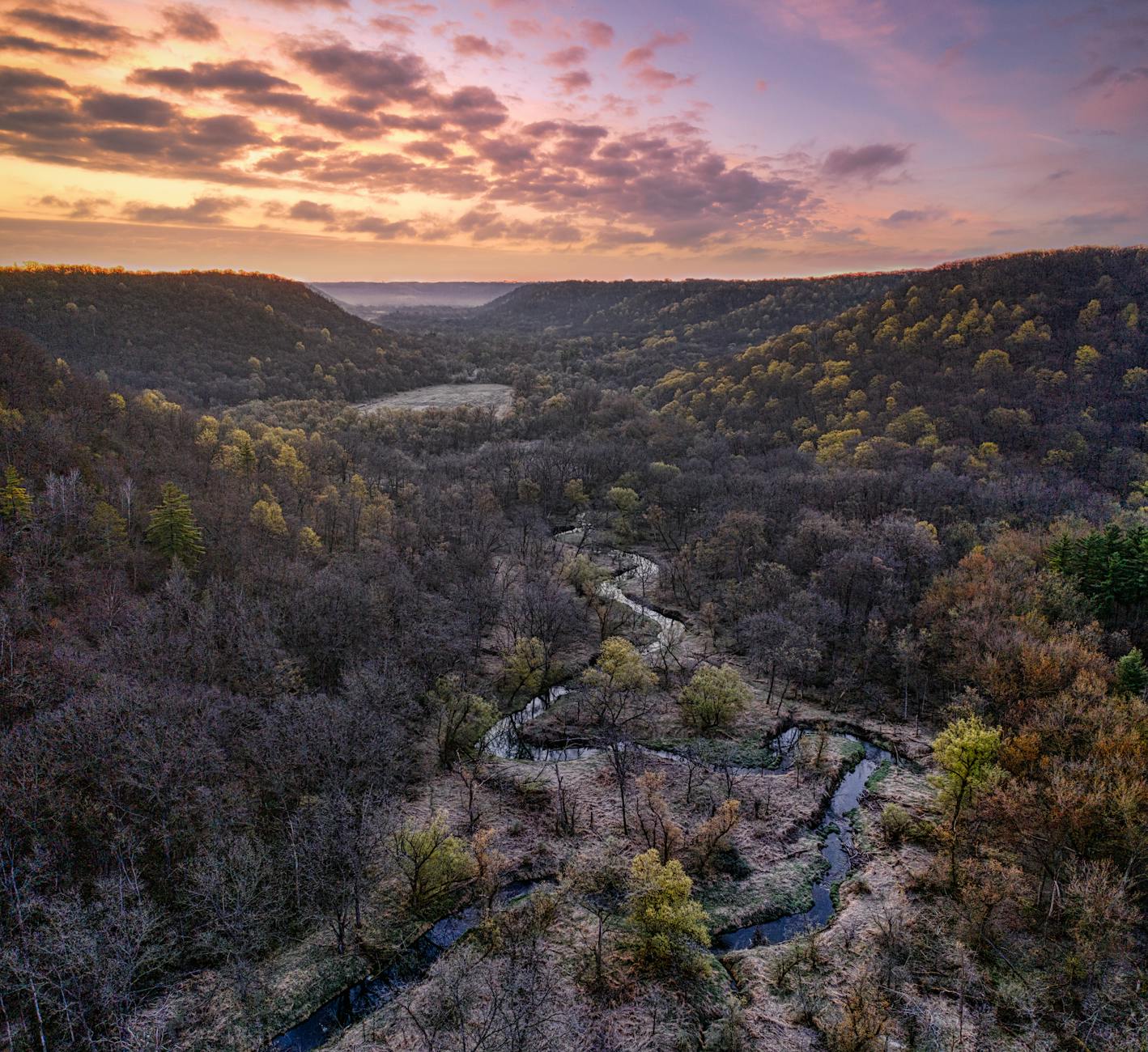 State-specific regulations and exceptions