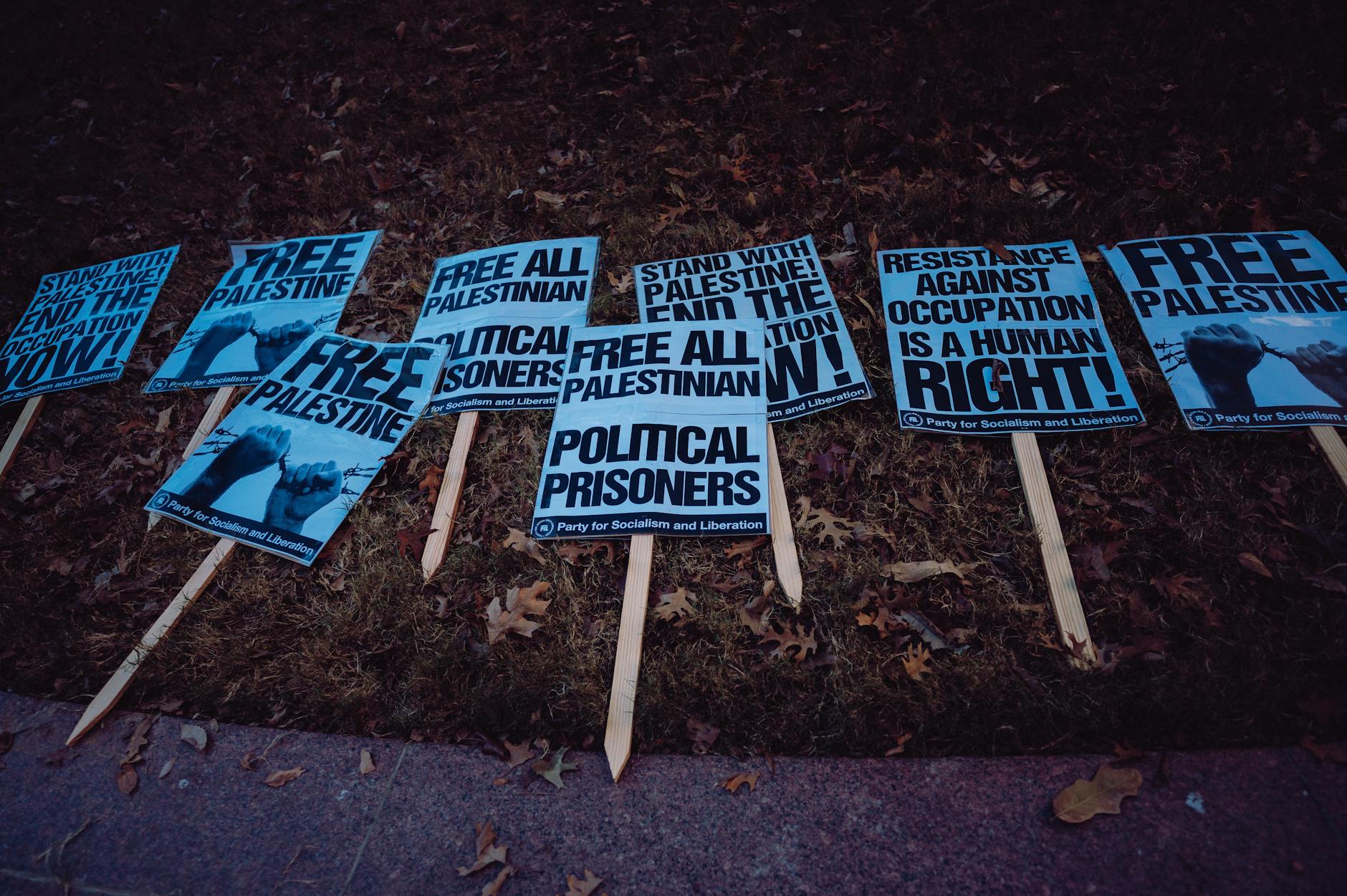 The Roots of a Powerful Movement