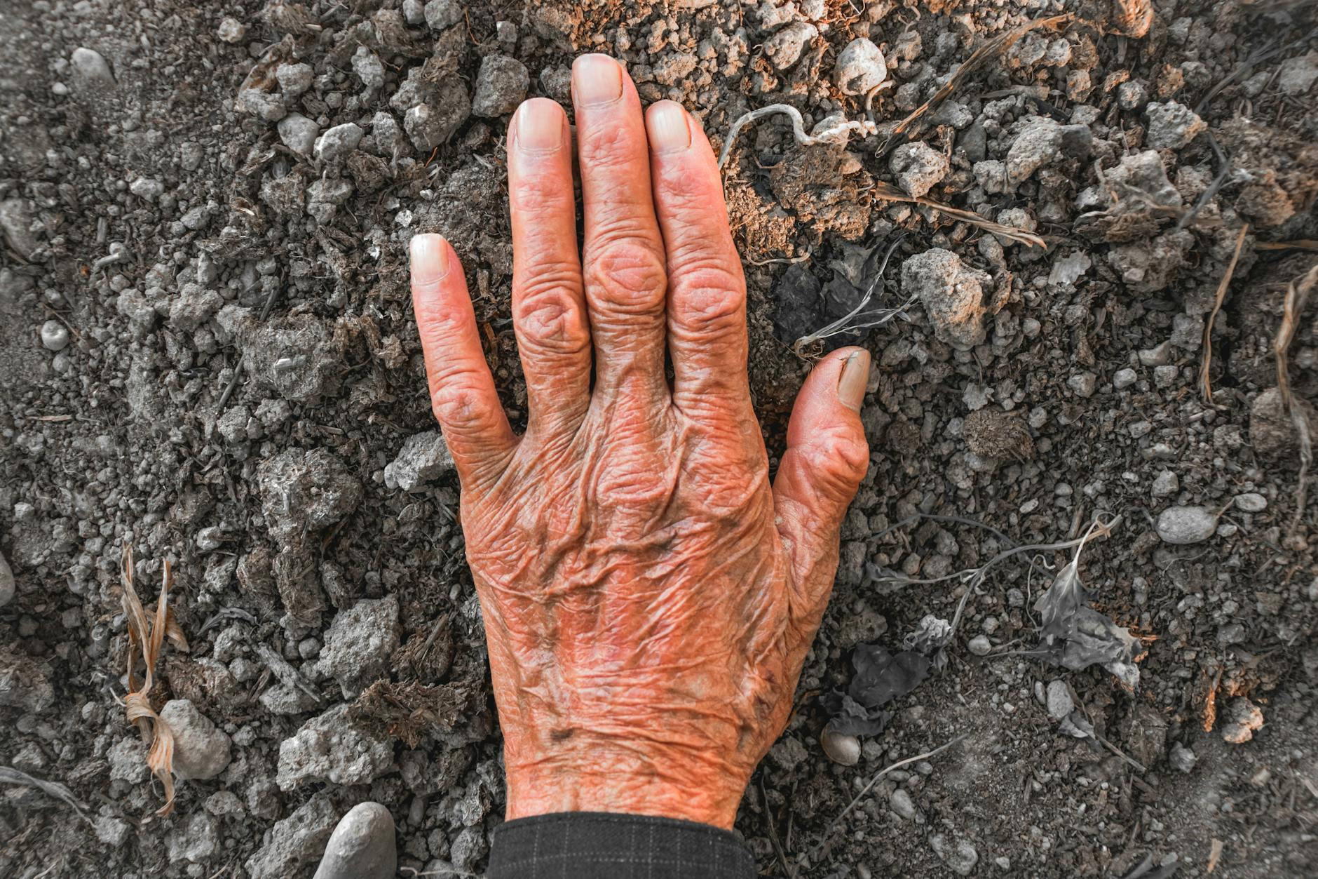 Understanding Inadmissibility Grounds