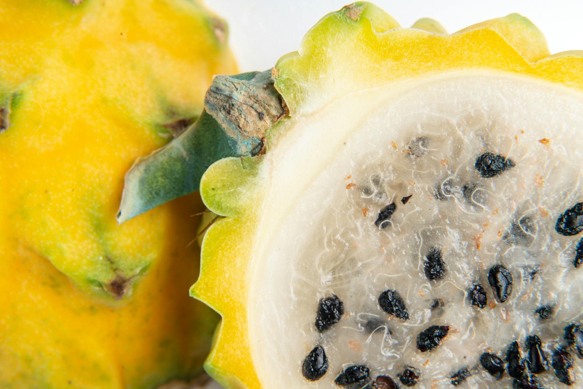 Understanding the Fruit of the Poisonous Tree