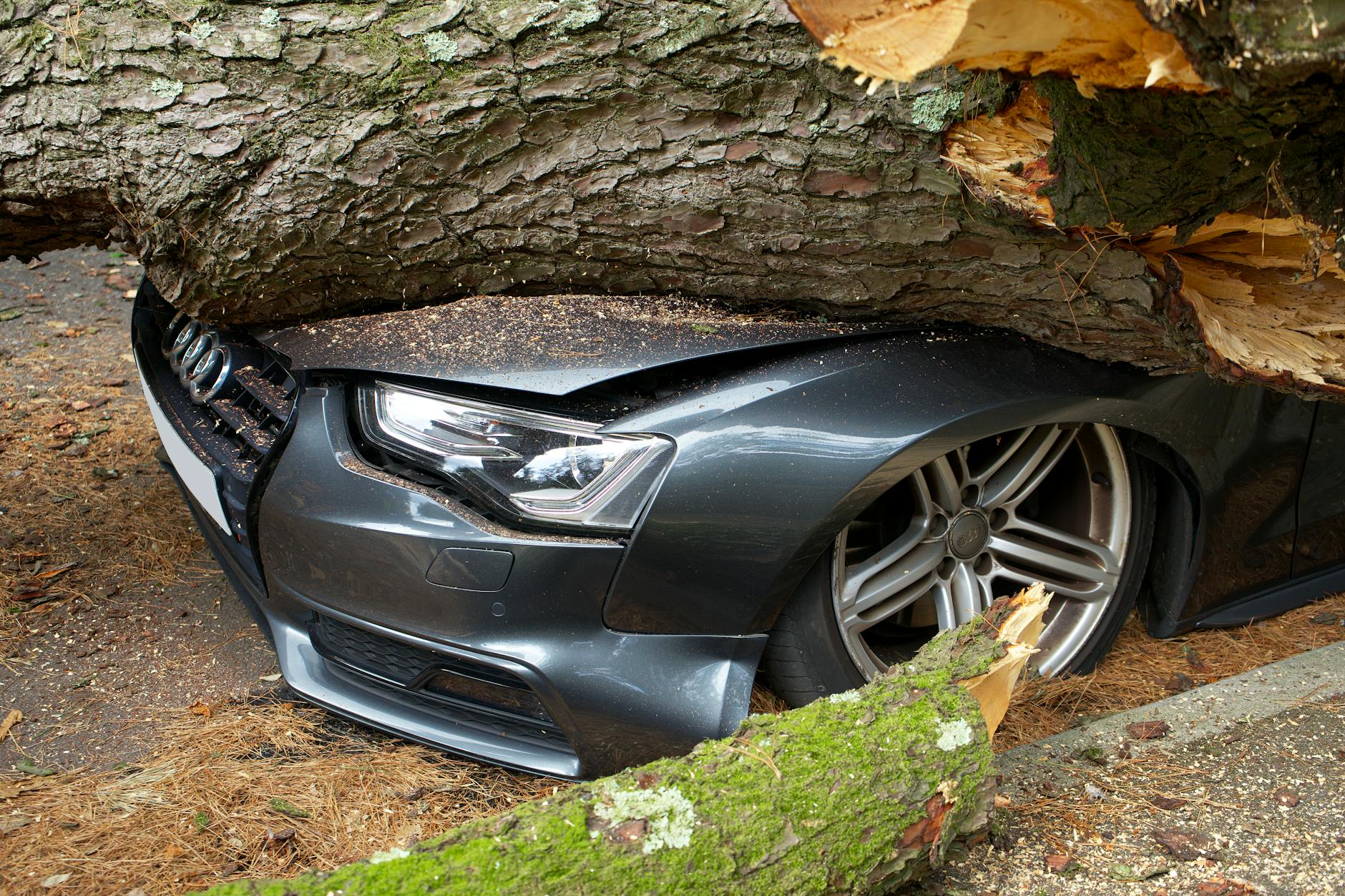 Understanding Unsafe Driving Crimes