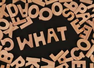 Understanding Chain of Custody: 5 Key Components