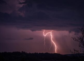 UK Courts Grant 10,000 Conditional Discharges Annually