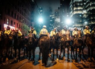 Understanding the 5 Key Aspects of Crowd Control Police Powers