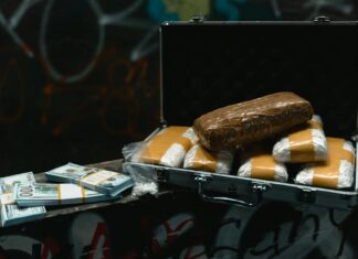 Understanding the 5 Types of Gang-Related Crimes