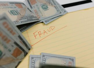 Ponzi Schemes: How 1 in 10 Fraud Cases Bilks Investors