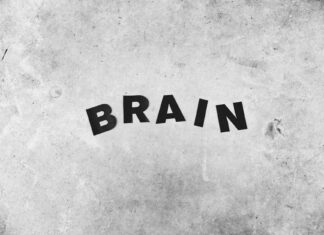 Understanding the 3 Key Elements of Reasonable Suspicion