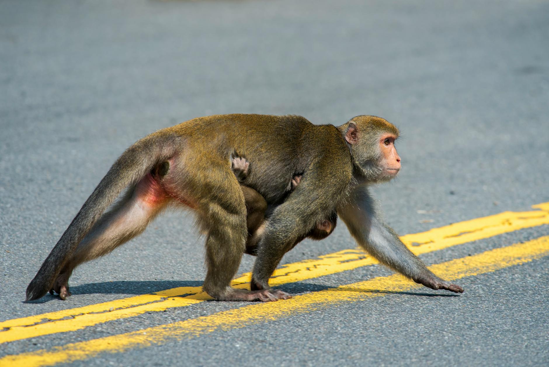 When Behavior Crosses the Line