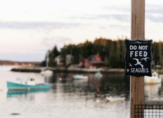 Homeowners with Security Cameras 75% Less Likely to Be Burglarized