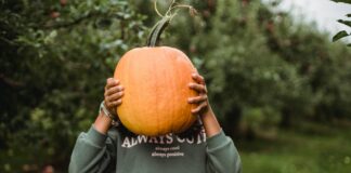 Domestic Violence Survivors Often Stay in Abusive Situations for 2-5 Years