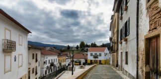 Miranda Rights Apply to 6 in 10 Street Interrogations, New Data Reveals