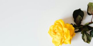 Retailers Use Database to Identify Repeat Shoplifters in 70% of Cases