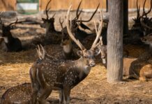 Vacation postings on social media linked to 75% rise in break-ins during summer months