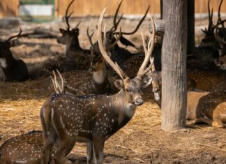 Vacation postings on social media linked to 75% rise in break-ins during summer months