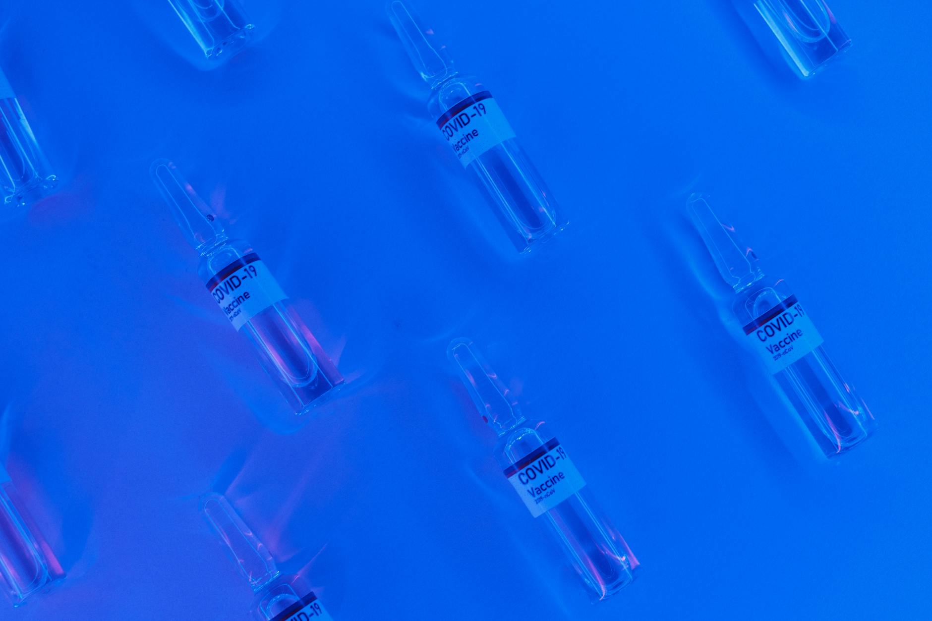 Finding Solutions, Preventing Tragedies: A Look to the Future