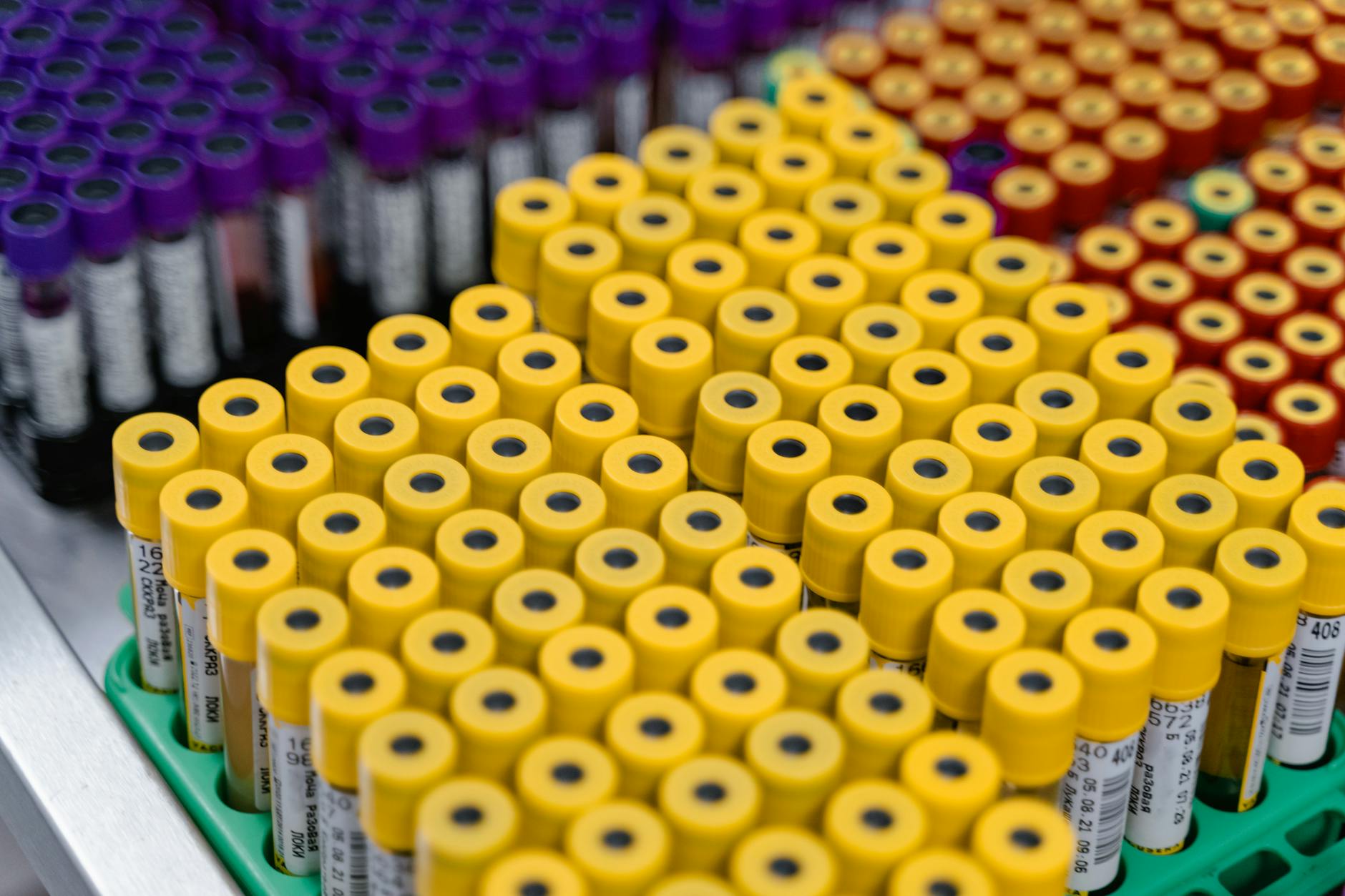 From Lab Tests to Real-World Applications: Facial Recognition in Use